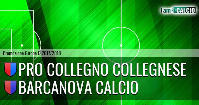 Pro Collegno Collegnese - Barcanova Calcio