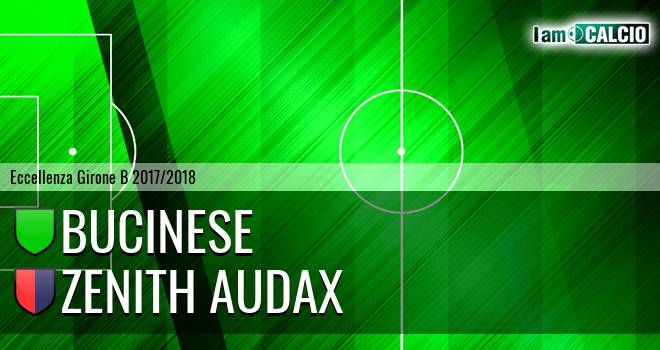 Bucinese - Zenith Audax