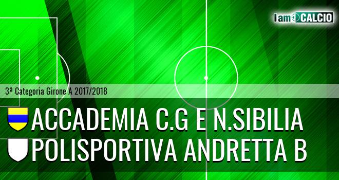 Accademia C.G e N.Sibilia - Polisportiva Andretta B