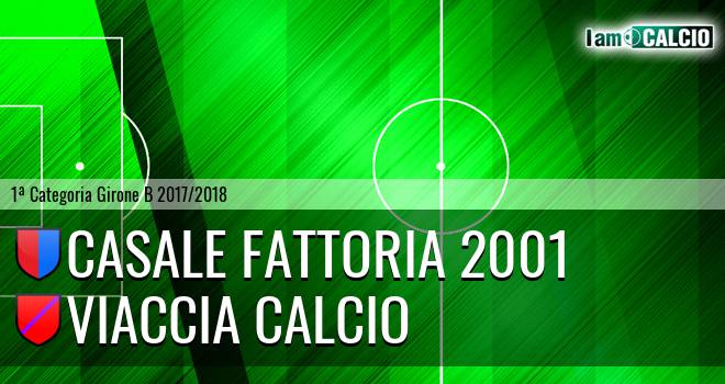 Casale Fattoria 2001 - Viaccia Calcio