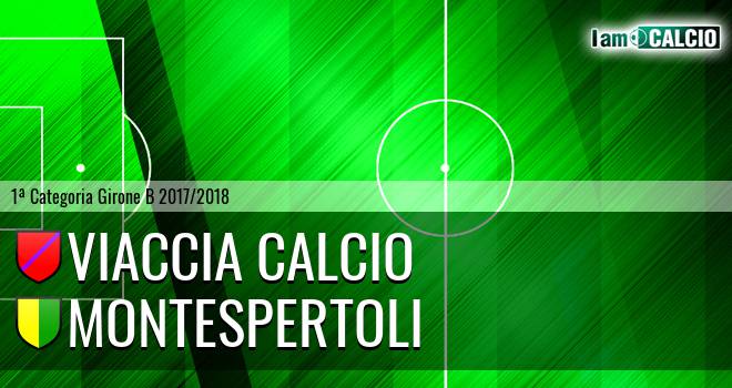 Viaccia Calcio - Montespertoli