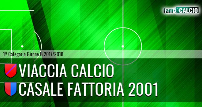 Viaccia Calcio - Casale Fattoria 2001