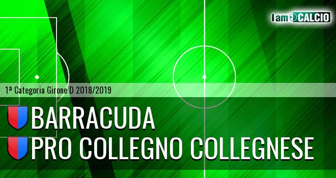 Barracuda - Pro Collegno Collegnese