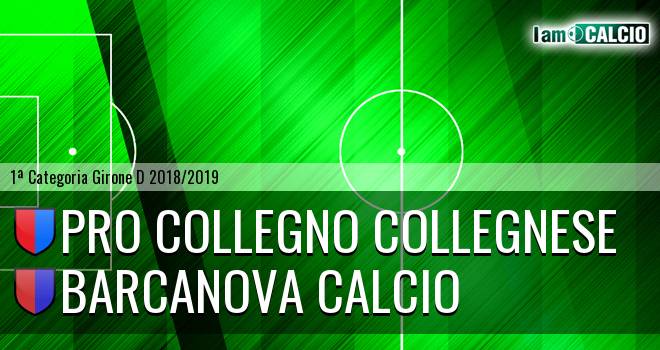 Pro Collegno Collegnese - Barcanova Calcio