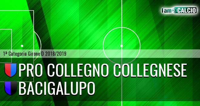 Pro Collegno Collegnese - Bacigalupo