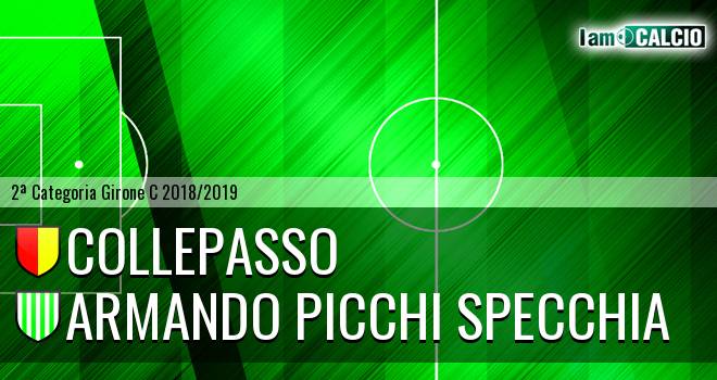 Collepasso - Armando Picchi Specchia