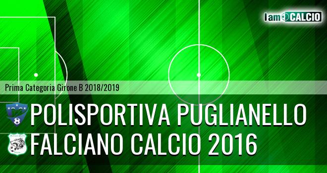 Polisportiva Puglianello - Falciano Calcio 2016