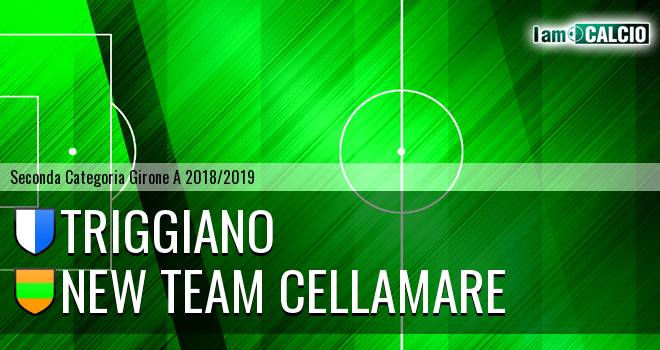 Triggiano - New Team Cellamare