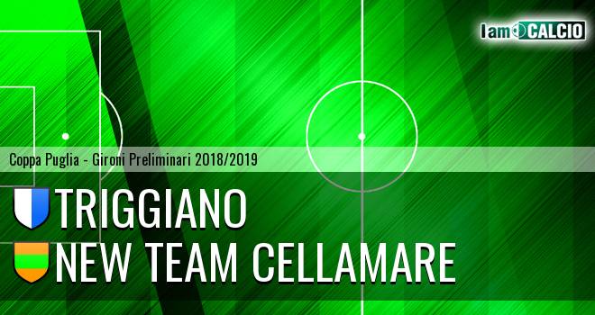 Triggiano - New Team Cellamare