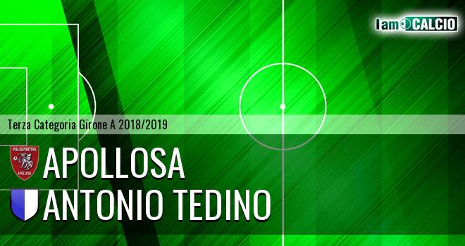 Sporting Apollosa 1981 - Antonio Tedino