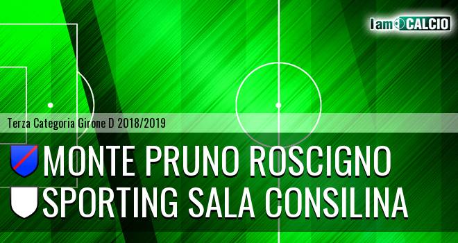 Monte Pruno Roscigno - Sporting Sala Consilina