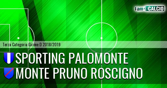 Sporting Palomonte - Monte Pruno Roscigno