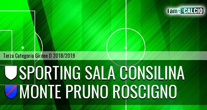 Sporting Sala Consilina - Monte Pruno Roscigno