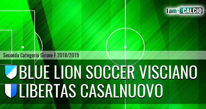 Blue Lion Soccer Visciano - Fc Casalnuovo