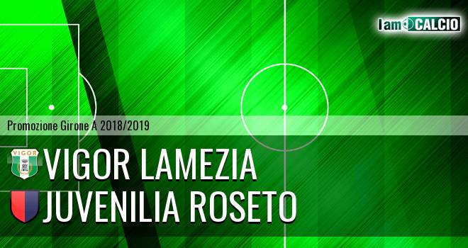 Vigor Lamezia - Juvenilia Roseto