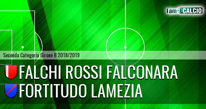 Falchi Rossi Falconara - Fortitudo Lamezia