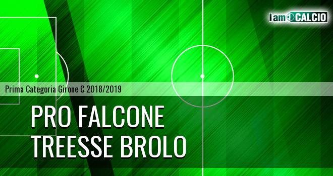 Pro Falcone - Treesse Brolo