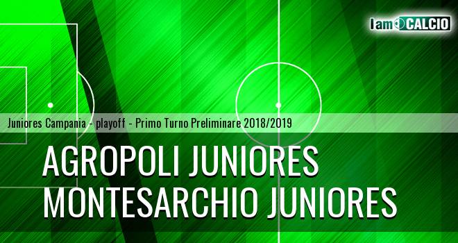 Agropoli Juniores - Montesarchio Juniores