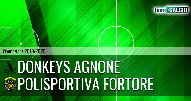 Donkeys Agnone - Fortore