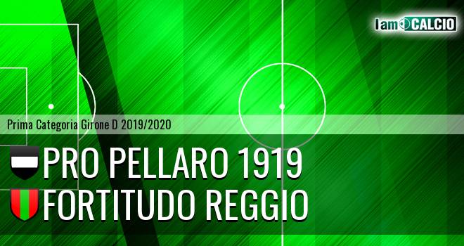 Pro Pellaro 1919 - Fortitudo Reggio