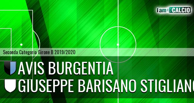 Avis Burgentia - Giuseppe Barisano Stigliano