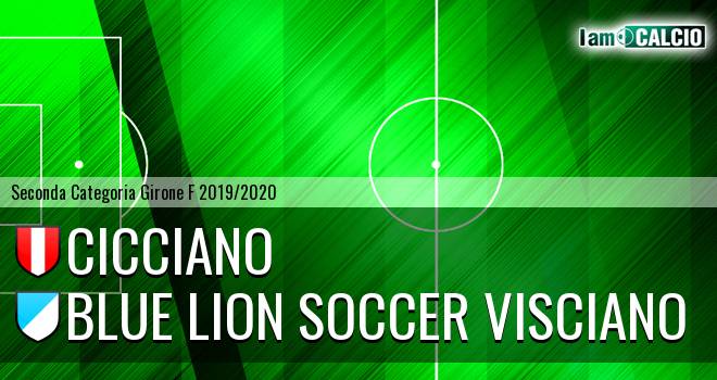 Cicciano - Blue Lion Soccer Visciano