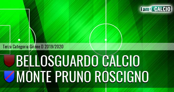 Bellosguardo Calcio - Monte Pruno Roscigno