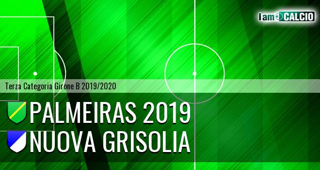 Palmeiras 2019 - Nuova Grisolia