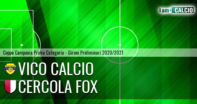 Vico Calcio - Cercola Fox