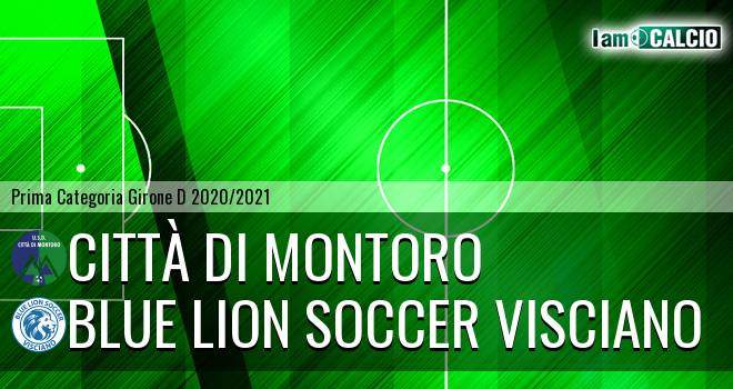 Città di Montoro - Blue Lion Soccer Visciano