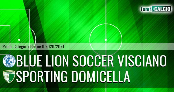 Blue Lion Soccer Visciano - Sporting Domicella