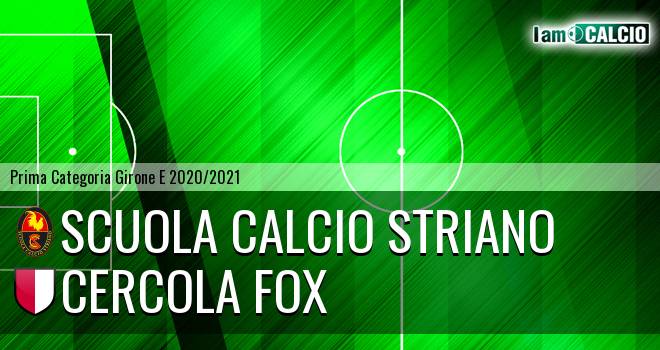 S.C. Striano - Cercola Fox