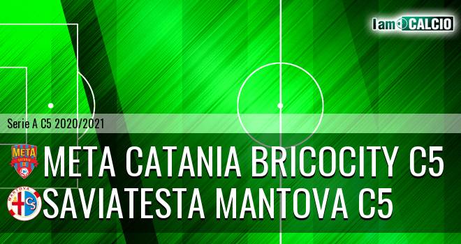 Meta Catania Bricocity C5 - Saviatesta Mantova C5