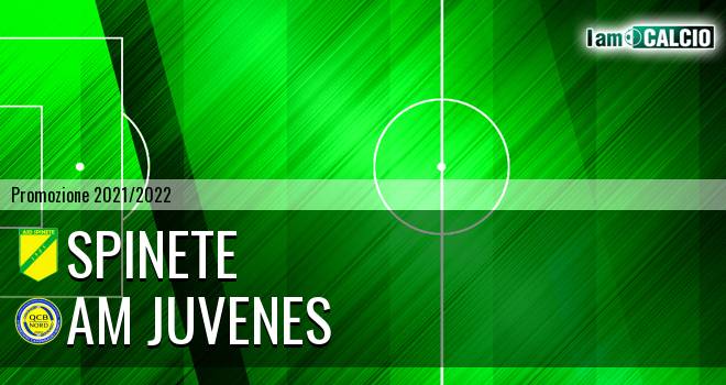 Spinete - AM Juvenes