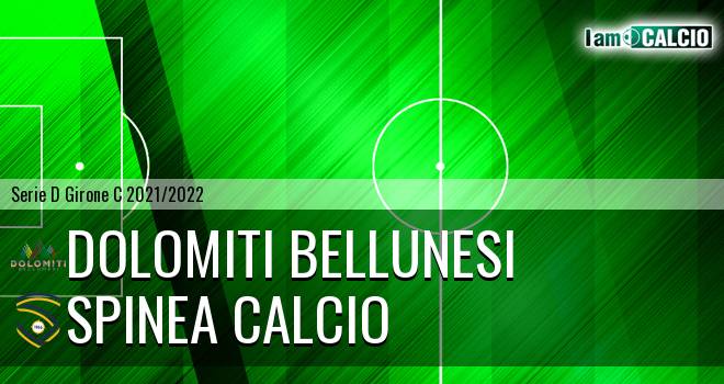 Dolomiti Bellunesi - Spinea Calcio