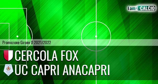 Cercola Fox - Capri Anacapri