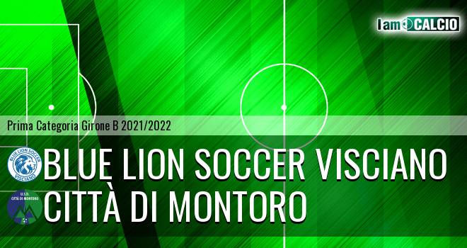 Blue Lion Soccer Visciano - Città di Montoro