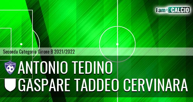Antonio Tedino - Gaspare Taddeo Cervinara