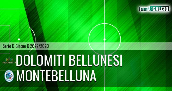 Dolomiti Bellunesi - Prodeco Calcio Montebelluna