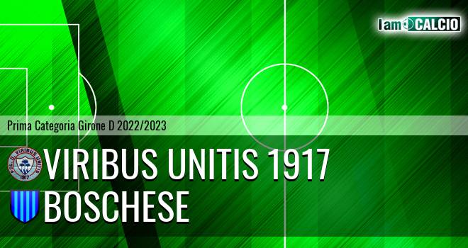 Viribus Unitis 1917 - Boschese