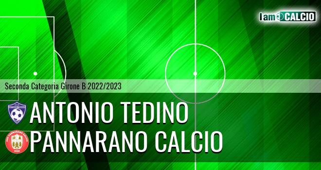 Antonio Tedino - Pannarano Calcio