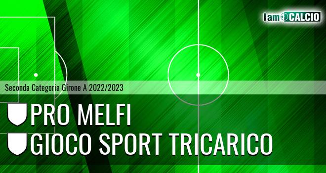 Pro Melfi - Gioco Sport Tricarico