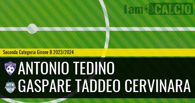 Antonio Tedino - Gaspare Taddeo Cervinara