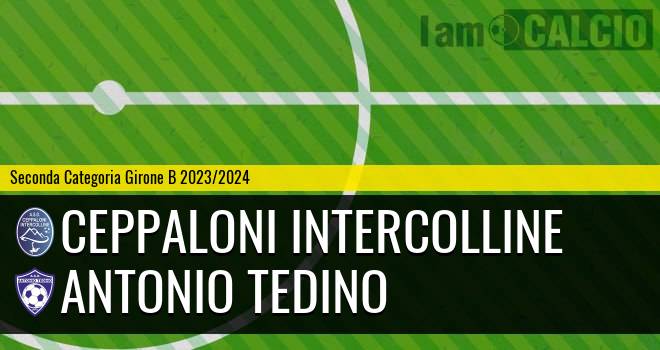 Ceppaloni Intercolline - Antonio Tedino