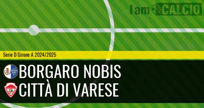 Borgaro Nobis - Città di Varese