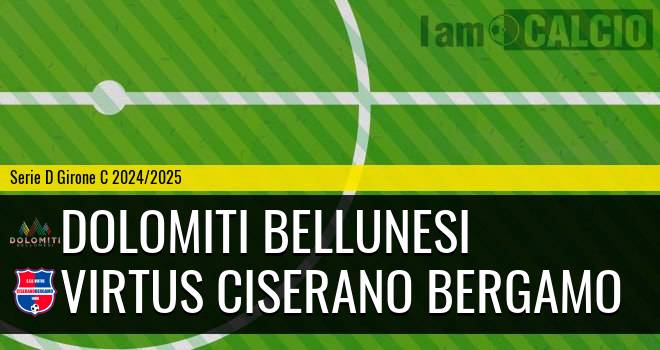 Dolomiti Bellunesi - Virtus Ciserano Bergamo