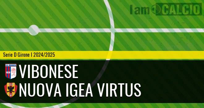 Vibonese - Nuova Igea Virtus