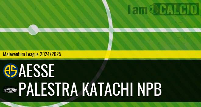 Aesse - Palestra Katachi NPB