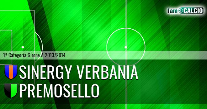 Sinergy Verbania - Premosello