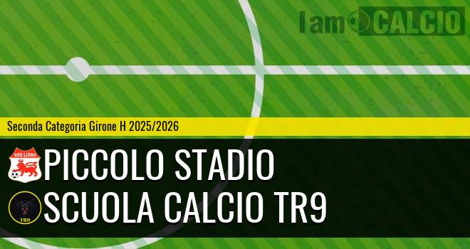 Piccolo Stadio - Scuola Calcio TR9